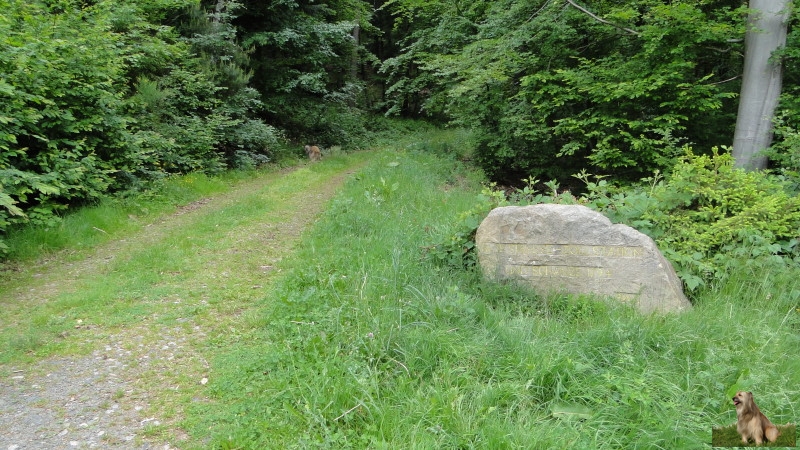 Ritterstein Nr. 258-5 Alte Straße - Zollstation und Schanze 1794.JPG - Ritterstein Nr.258 Alte Straße - Zollstation und Schanze 1794